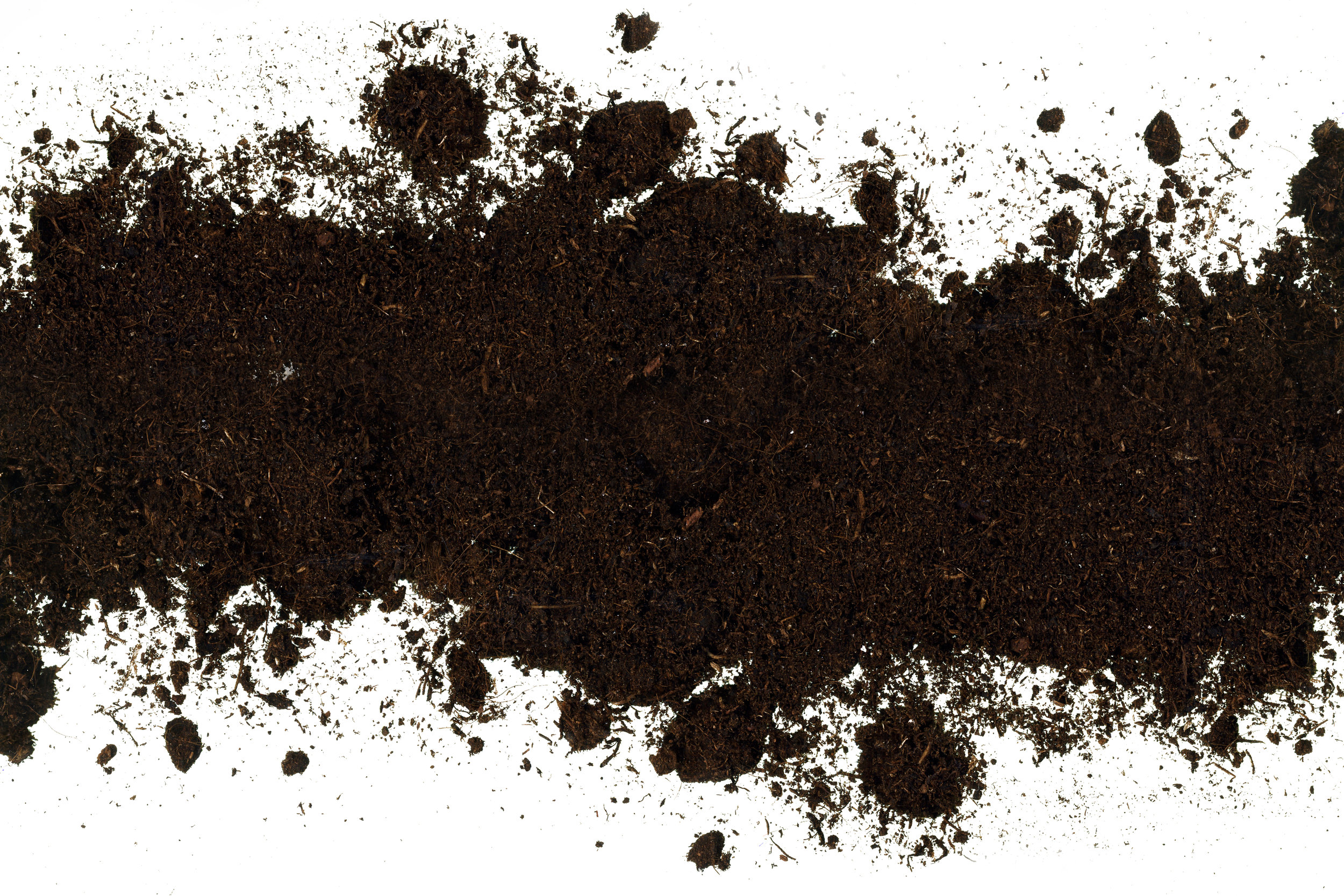Dirt-Background-1-b.jpg