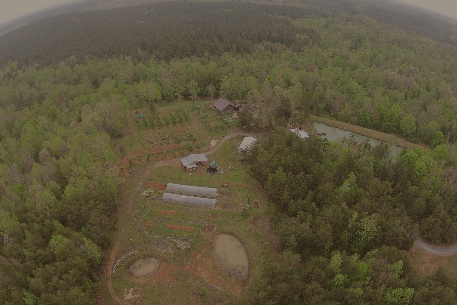 Aerial-Cricket'sCove-Farm-800x1200 copy.jpg
